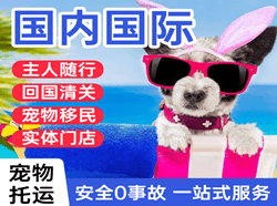 滋润航空物流国际宠物托运 【国